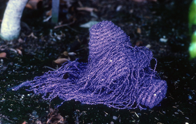 purple mushroom