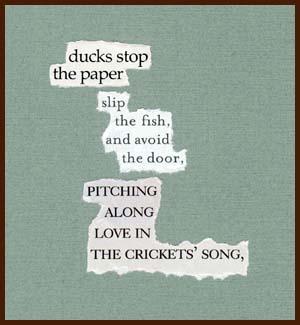 found poem © j.i. kleinberg ~ ducks stop